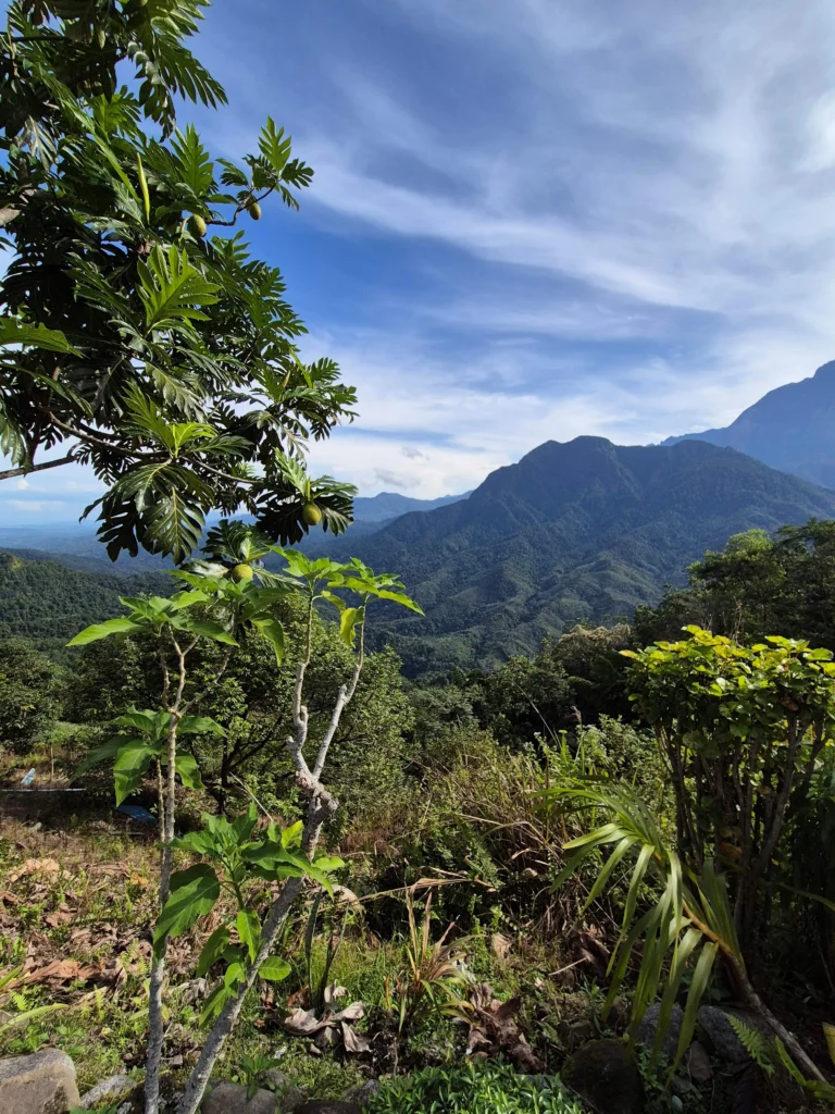 Mount Kinabalu Malaysia