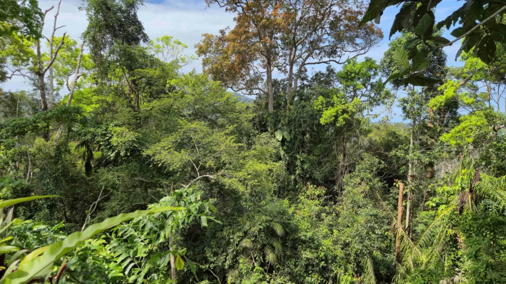 visit Penang Island Malaysia